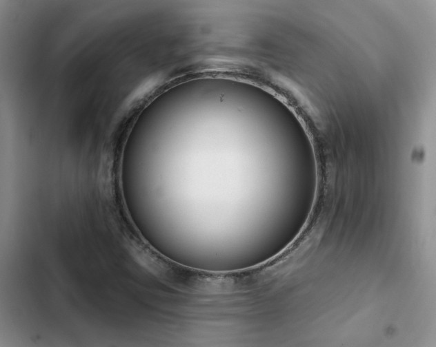 X0000102831403200808181313
