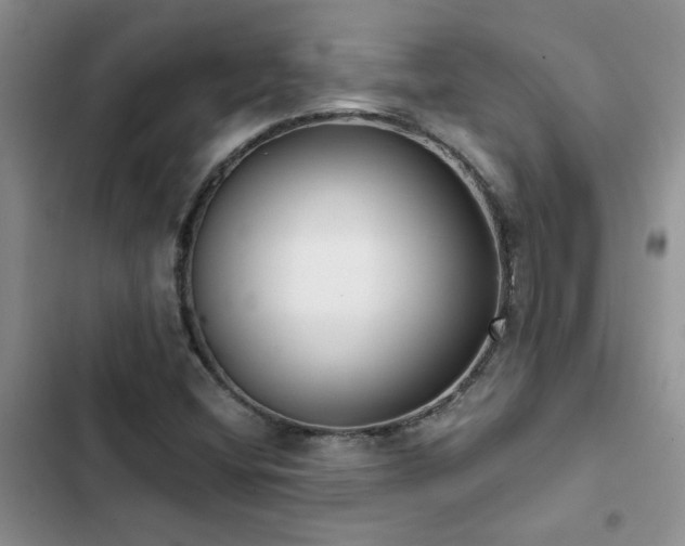 X0000102831404200808181313