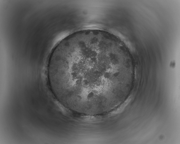 X0000102831405200808181313