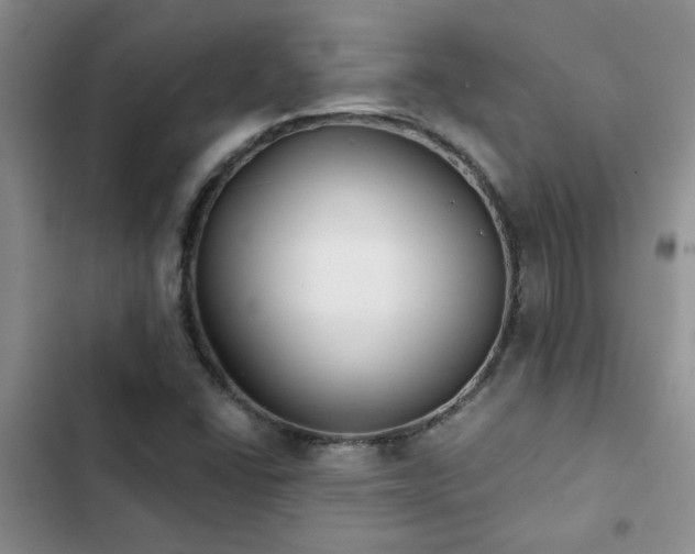 X0000102831406200808181313