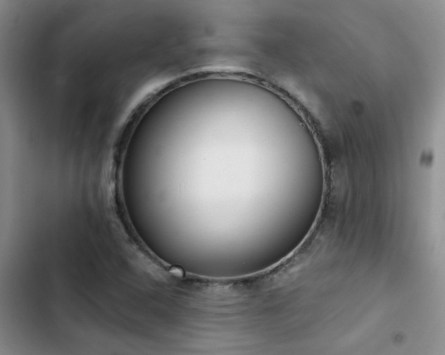 X0000102831408200808181313