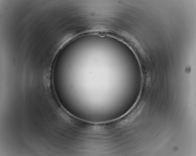 X0000102831409200808181313