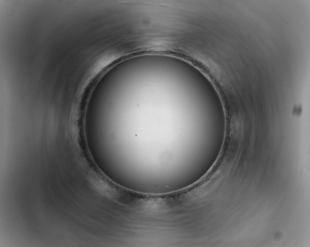 X0000102831410200808181313