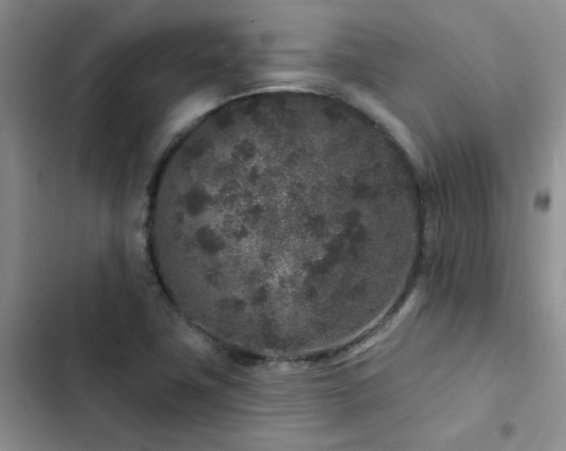 X0000102831411200808181313