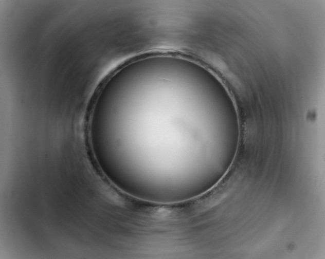 X0000102831412200808181313
