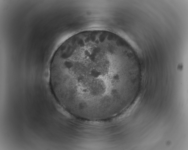 X0000102831413200808181313