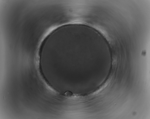 X0000102831414200808181313