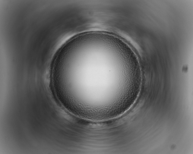X0000102831415200808181313