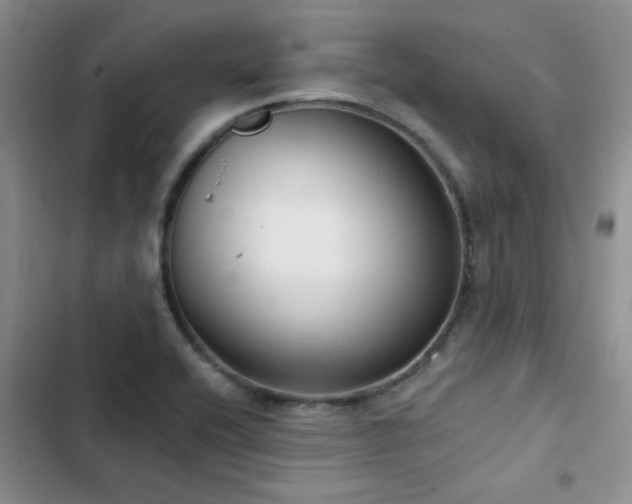 X0000102831416200808181313