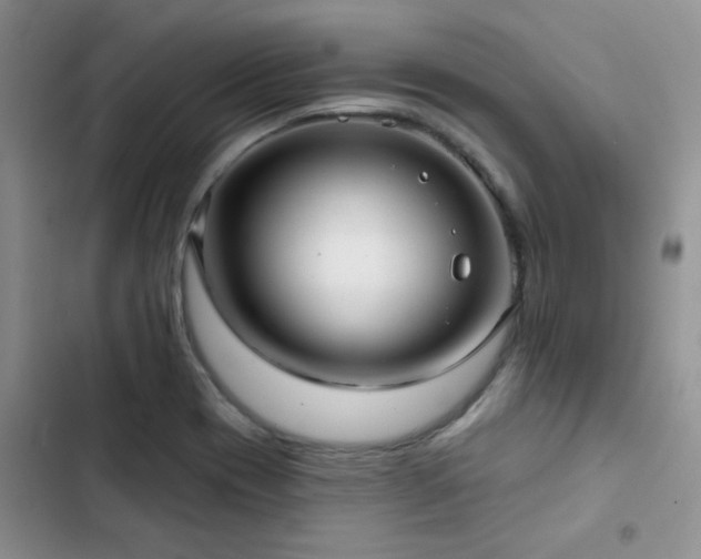 X0000102831417200808181313