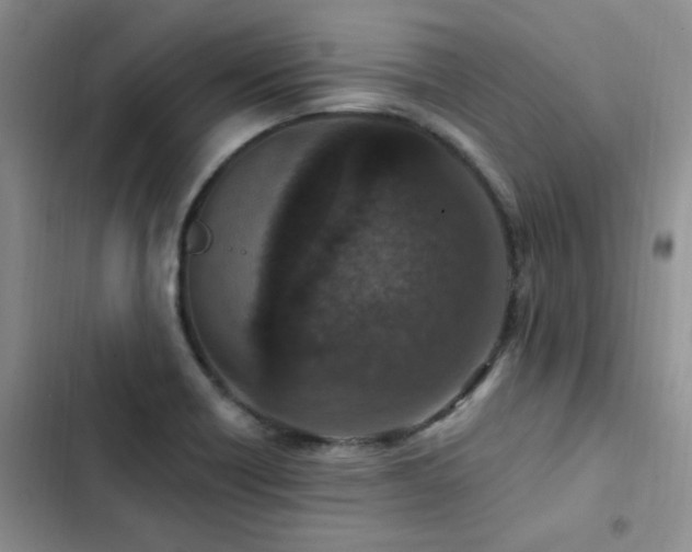 X0000102831418200808181313
