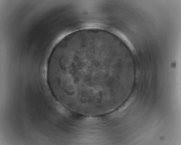 X0000102831419200808181313