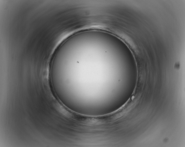 X0000102831420200808181313