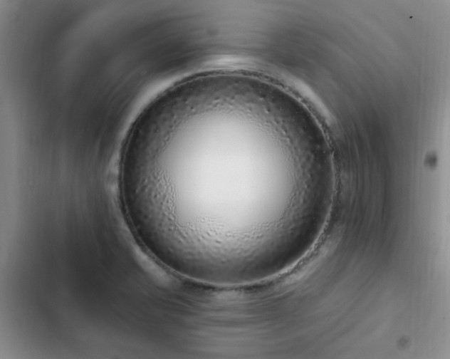 X0000102831421200808181313