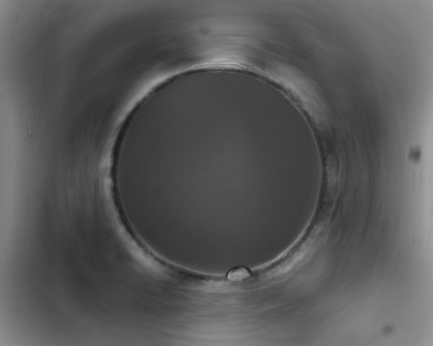 X0000102831422200808181313