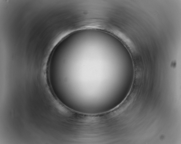 X0000102831423200808181313
