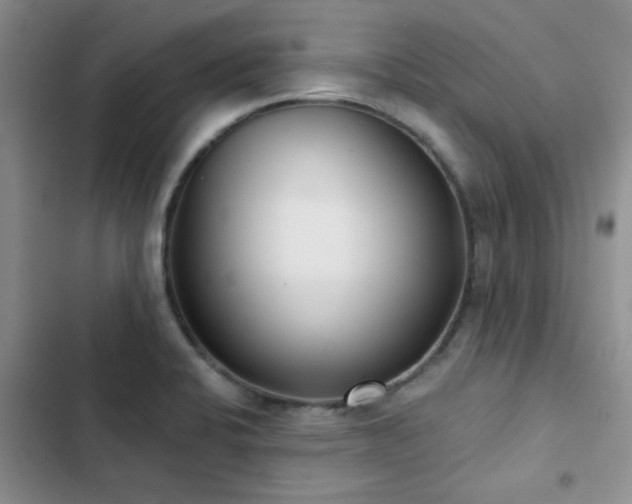 X0000102831424200808181313