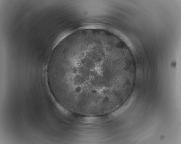 X0000102831425200808181313