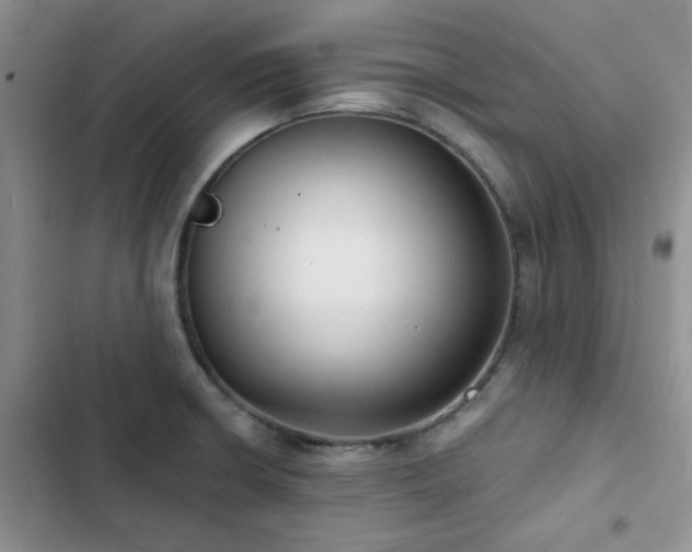 X0000102831426200808181313