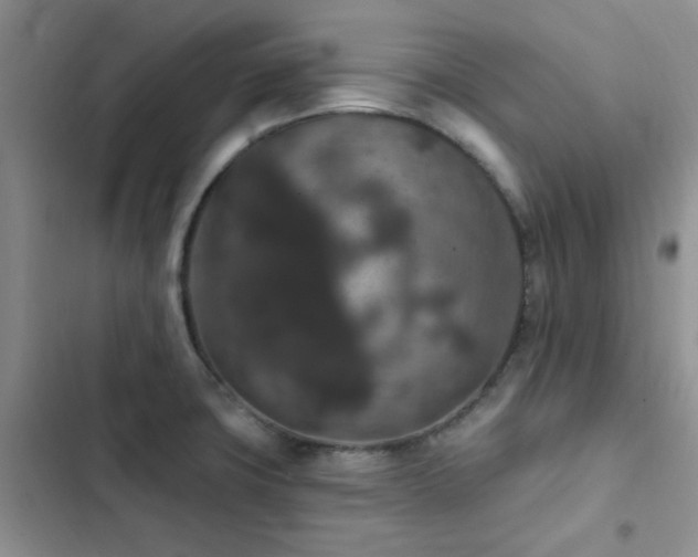 X0000102831427200808181313