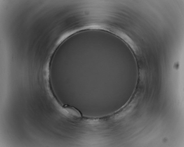 X0000102831428200808181313
