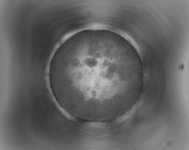 X0000102831429200808181313
