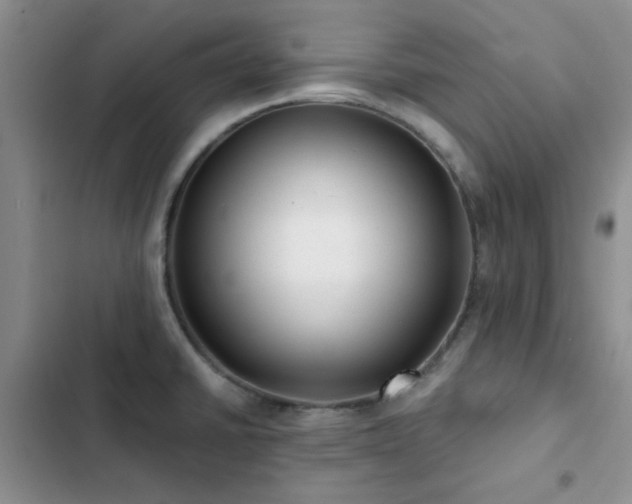 X0000102831430200808181313