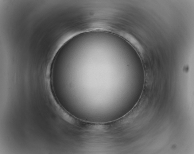 X0000102831431200808181313
