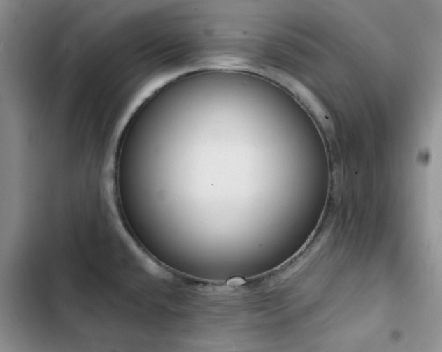 X0000102831432200808181313