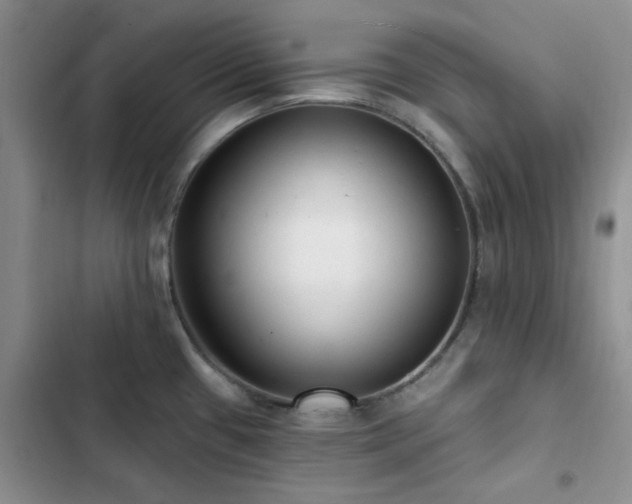 X0000102831433200808181313