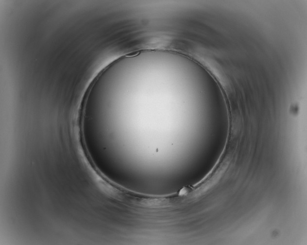 X0000102831434200808181313
