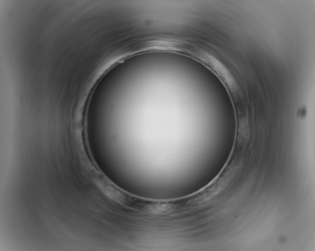 X0000102831435200808181313