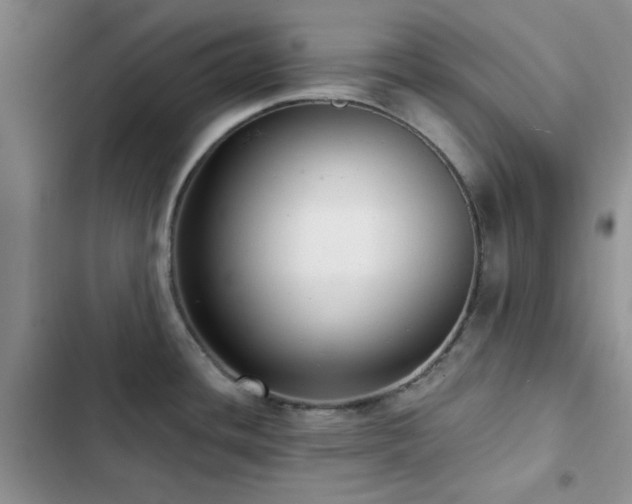 X0000102831436200808181313