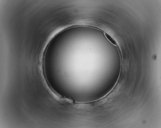 X0000102831437200808181313