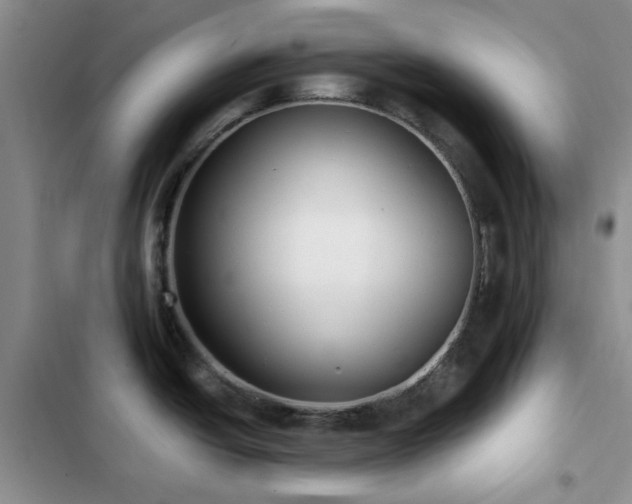 X0000102831438200808181313