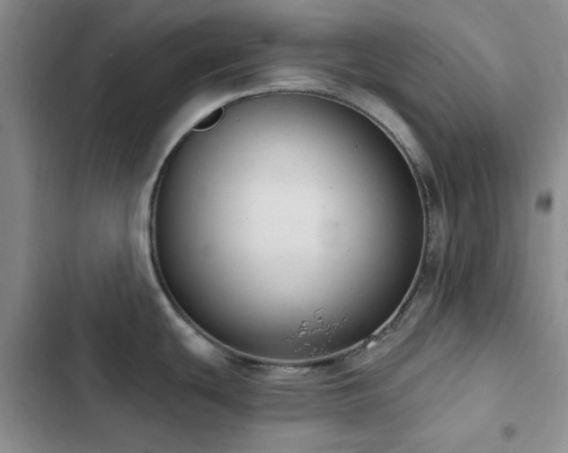X0000102831439200808181313