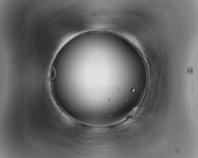 X0000102831440200808181313