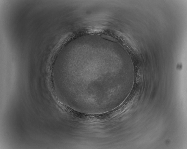X0000102831441200808181313