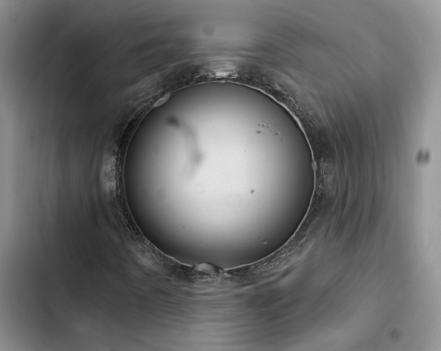 X0000102831442200808181313