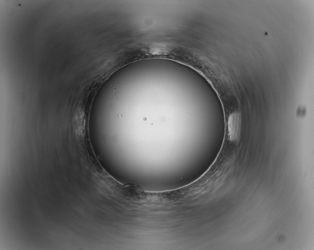 X0000102831443200808181313