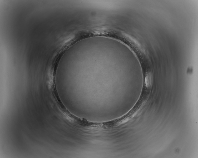 X0000102831444200808181313
