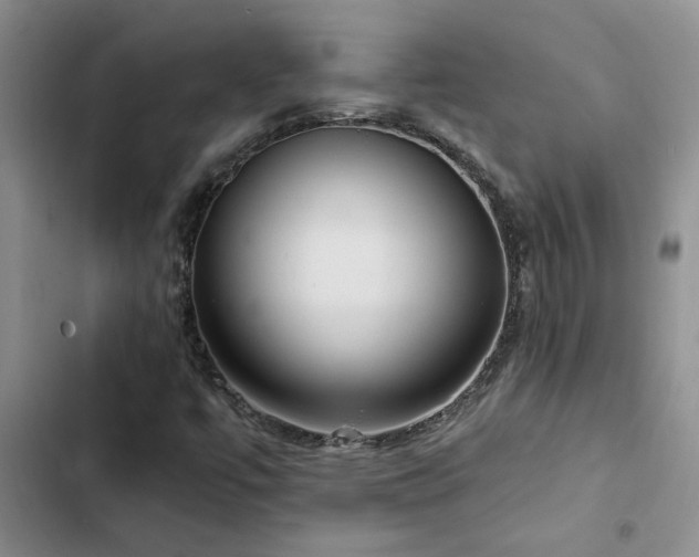 X0000102831447200808181313