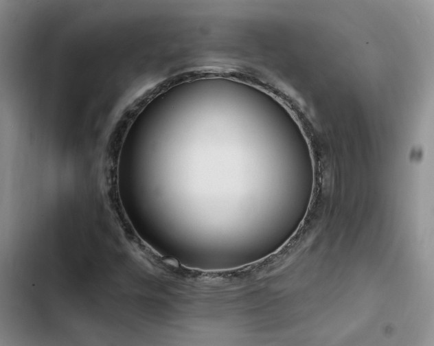 X0000102831448200808181313