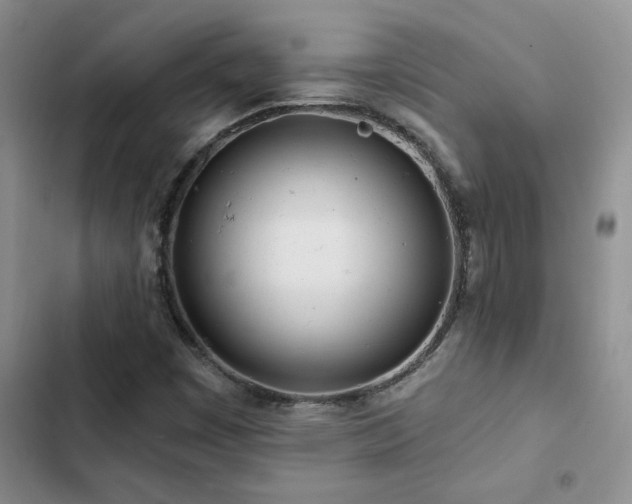 X0000102831449200808181313