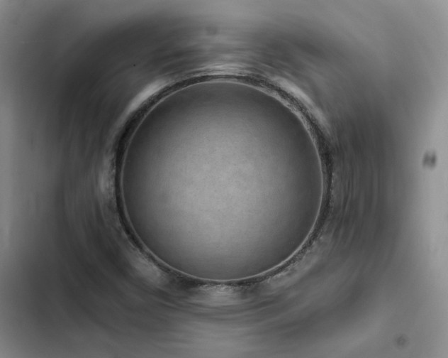 X0000102831450200808181313