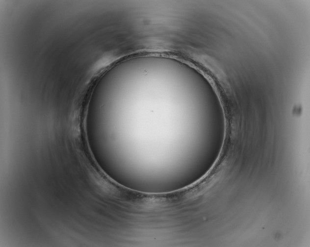 X0000102831451200808181313