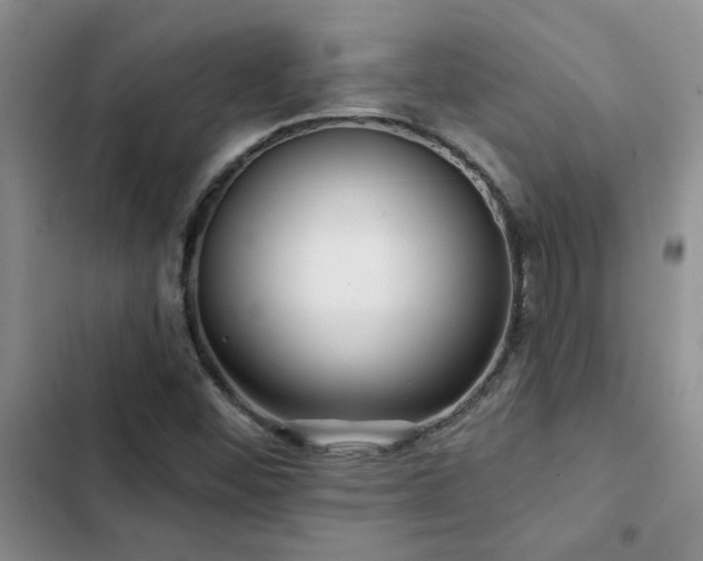 X0000102831452200808181313