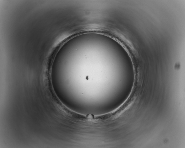 X0000102831453200808181313