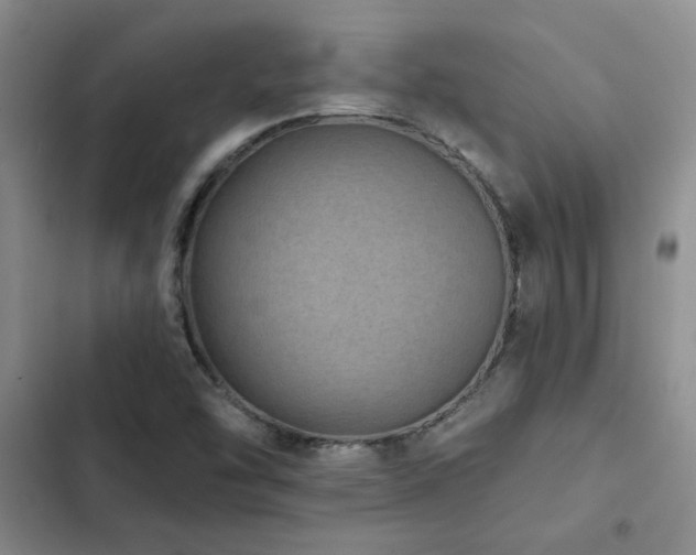 X0000102831454200808181313