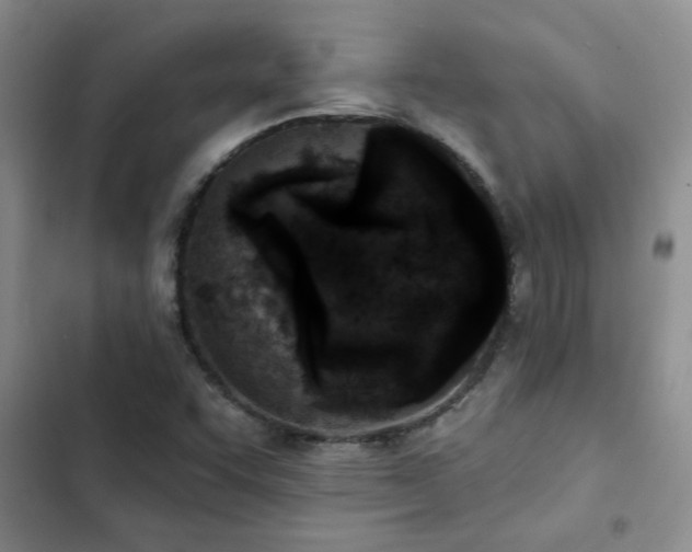 X0000102831455200808181313